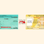 đổi bằng lái xe Hồng Kông sang Việt Nam