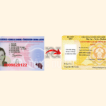 đổi bằng lái xe Bỉ sang Việt Nam