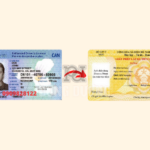 Đổi bằng lái xe Canada sang Việt Nam