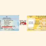 đổi bằng lái xe Cuba sang Việt Nam