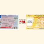 đổi bằng lái xe Đức sang Việt Nam