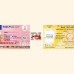 đổi bằng lái xe Hà Lan sang Việt Nam