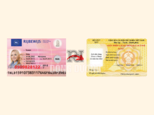 đổi bằng lái xe Hà Lan sang Việt Nam