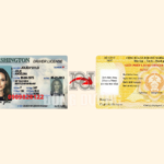 đổi bằng lái xe Mỹ sang Việt Nam