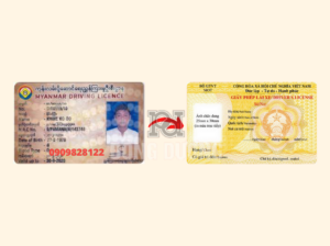 đổi bằng lái xe Myanmar sang Việt Nam