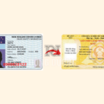 đổi bằng lái xe New Zealand sang Việt Nam