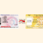 đổi bằng lái xe Pháp sang Việt Nam