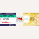 đổi bằng lái xe Thái Lan sang Việt Nam