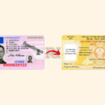 đổi bằng lái xe Thụy Điển sang Việt Nam