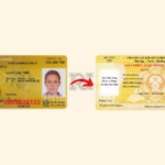 đổi bằng lái xe Úc sang Việt Nam