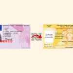 đổi bằng lái xe Ý sang Việt Nam