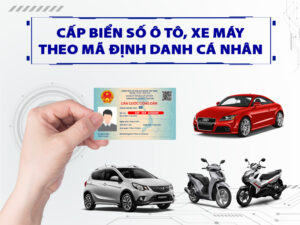 biển số định danh