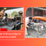 Cẩn thận! 12 lỗi vi phạm sẽ khiến bạn bị tịch thu xe ngay lập tức năm 2025