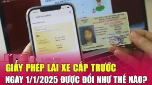 Từ 15/1/2025 Lưu ý đổi Giấy phép lái xe sang mẫu mới